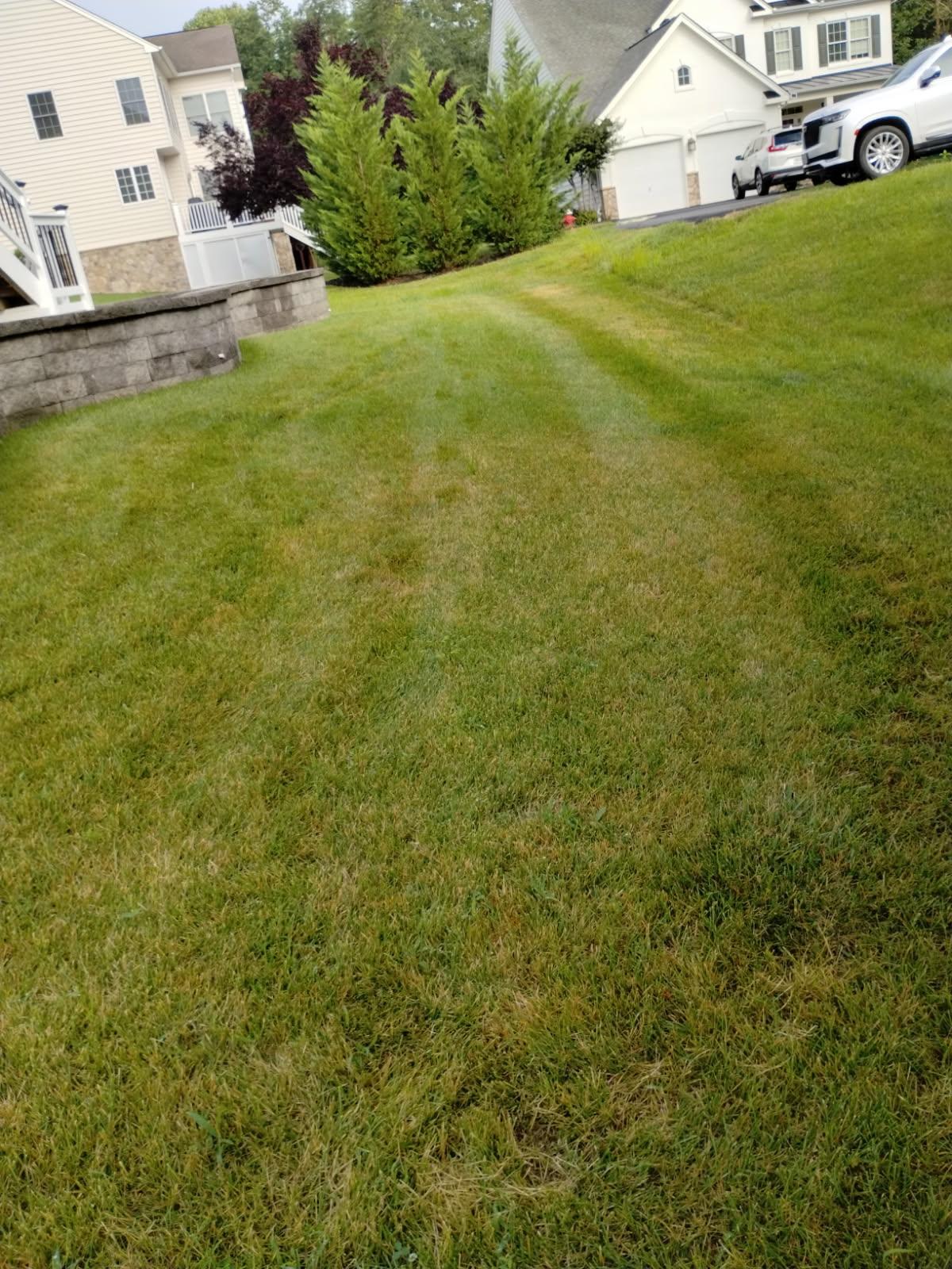 Commercial Lawn Care