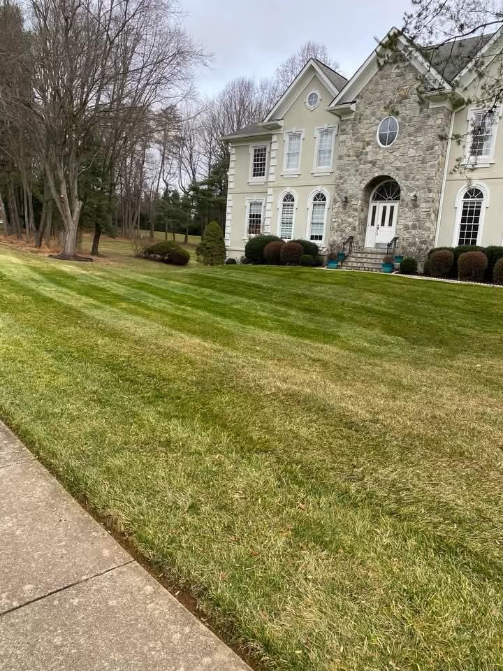 Garden Bed Installation