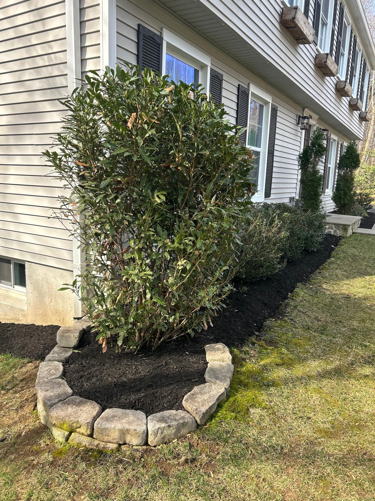 Lawn Care & Maintenance