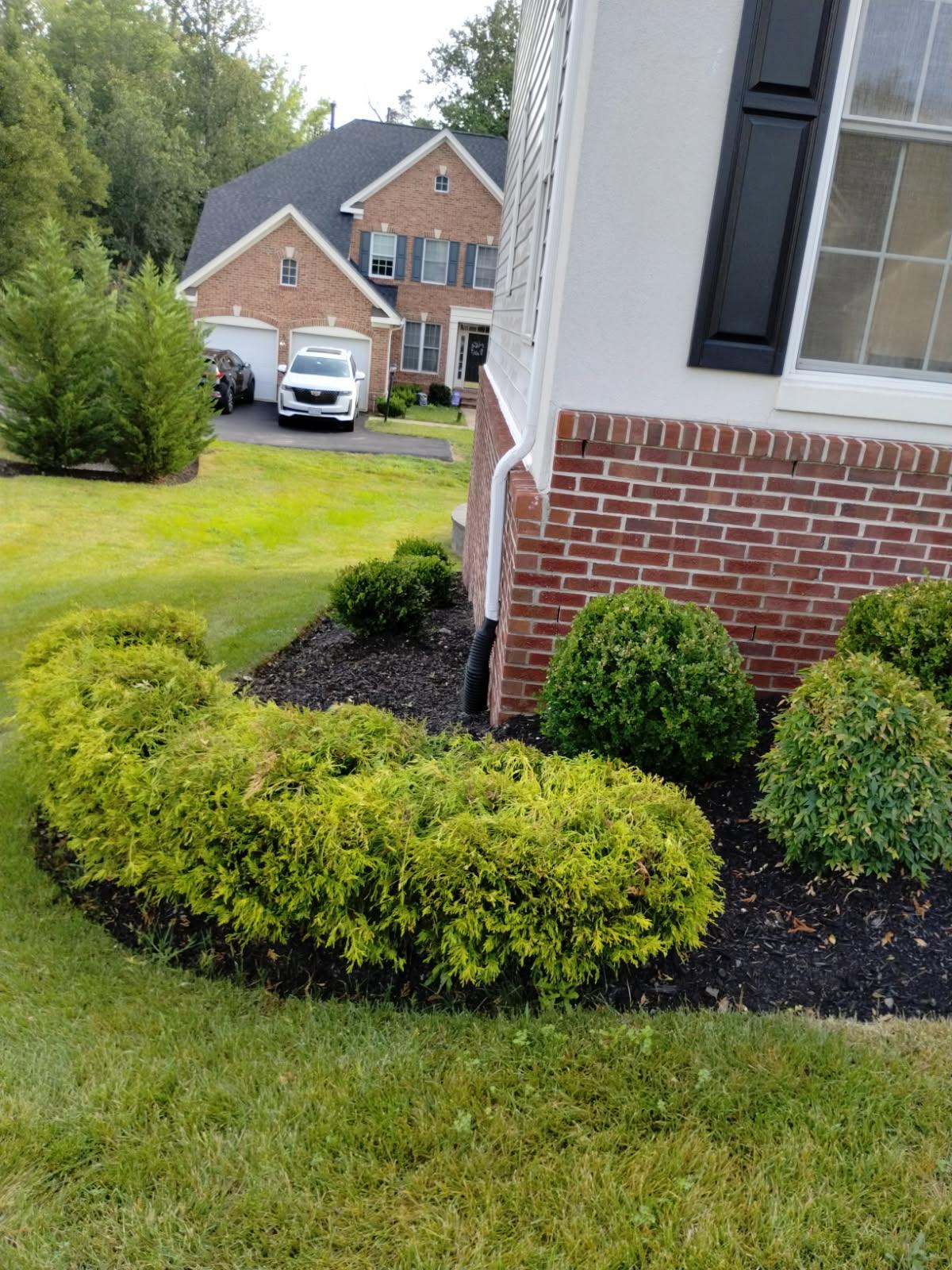 Hardscaping & Design